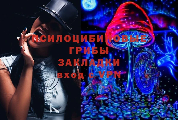 ГАЛЛЮЦИНОГЕННЫЕ ГРИБЫ Медвежьегорск