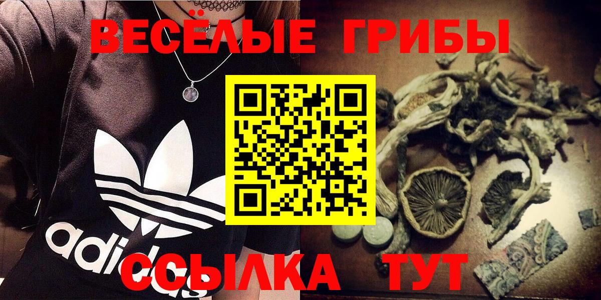 Пушкино  Псилоцибиновые грибы прущие грибы  Вход с VPN 