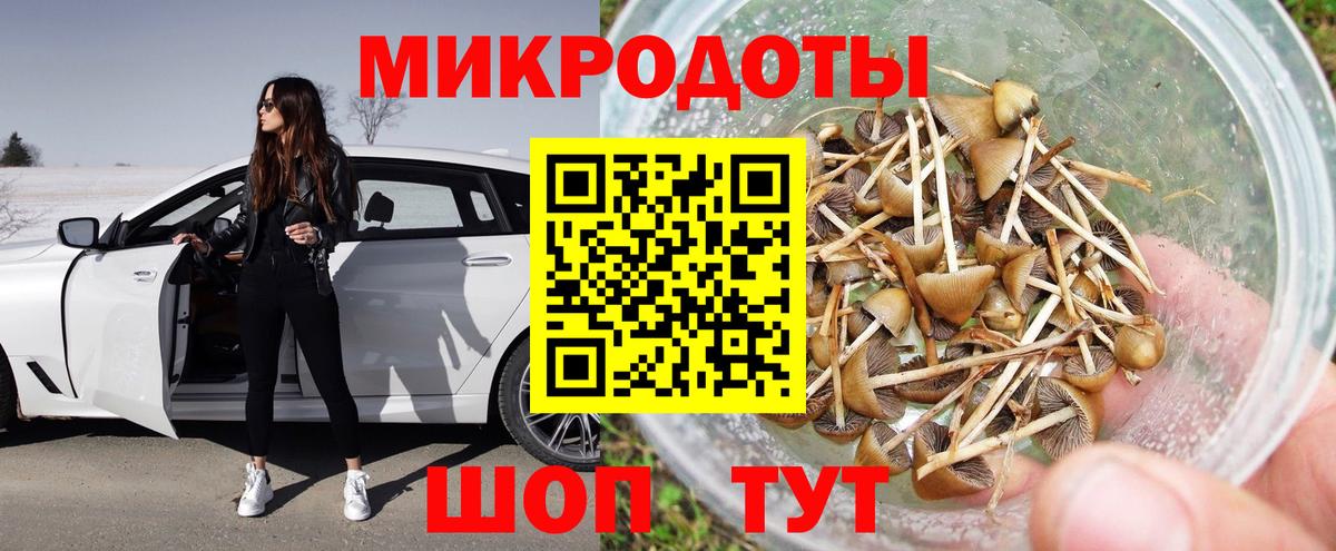 Галлюциногенные грибы Psilocybine cubensis Пушкино