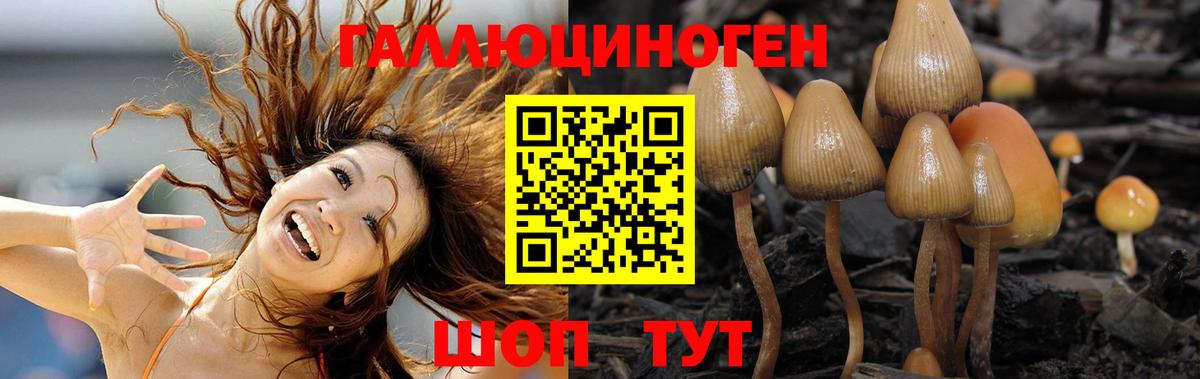 Галлюциногенные грибы GOLDEN TEACHER Пушкино